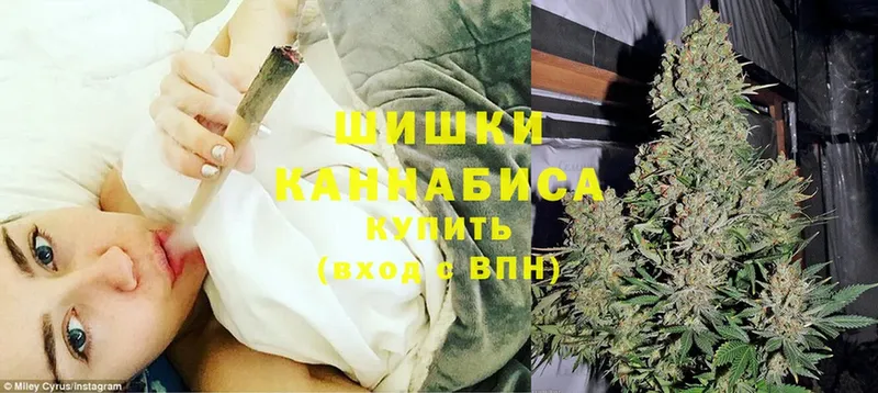 купить наркотик  МЕГА онион  Бошки Шишки White Widow  Вологда 